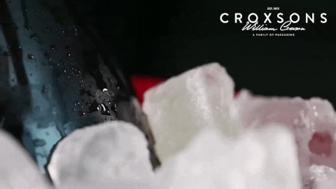 Ice Cube GIF by Croxsons