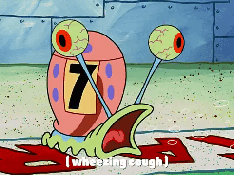 season 3 the great snail race GIF by SpongeBob SquarePants