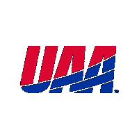 Division Iii D3 Sticker by uaa_sports