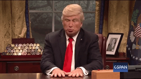 donald trump what GIF by Saturday Night Live