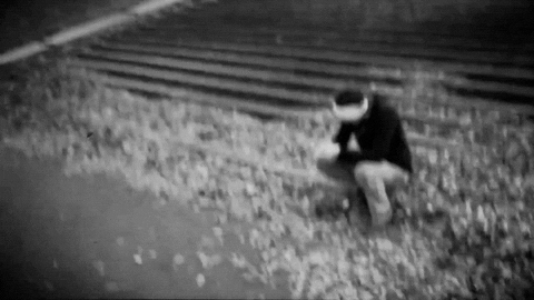 Fall Park GIF by erica shires