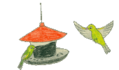 birdlife_cz green bird birds finch Sticker