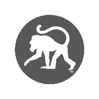 frothymonkey coffee coffee shop nashville coffee frothy monkey Sticker