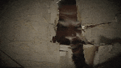 telemundo super serie GIF by Senora Acero