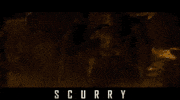 Scurry Creature Feature GIF by Signature Entertainment