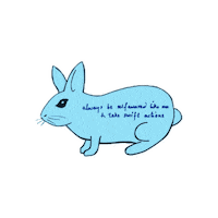 Rabbit Nft Sticker by Digital Pratik