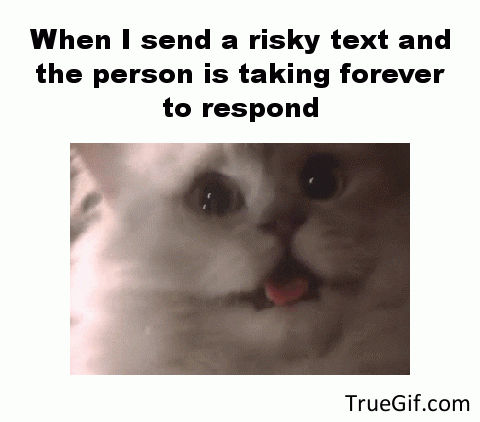 text GIF
