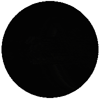 VirtueBJJ bjj jiujitsu virtue brazilianjiujitsu Sticker