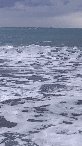 Simongip giphyupload GIF