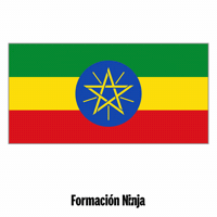 Ethiopia Flag GIF by Formación Ninja