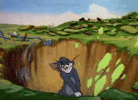 Ryder Cup Golf GIF