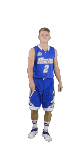 Basketball Swipe Sticker by ACSL - Austrian College Sports League