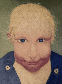 Key West Smirk GIF by green parrot