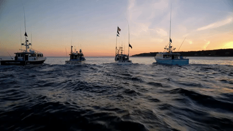 wicked tuna GIF by National Geographic Channel