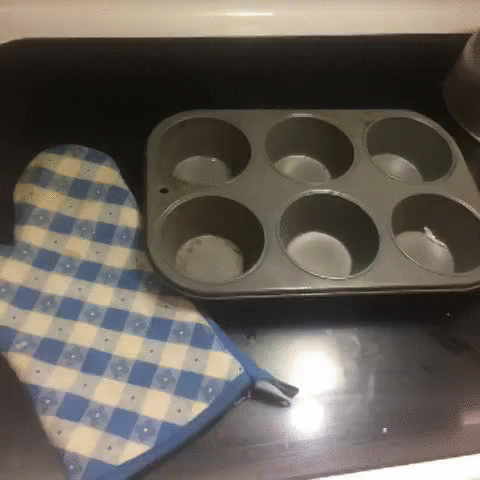 hedgehog muffins GIF