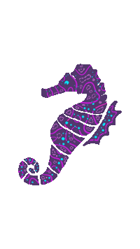 Sea Star Sticker by EXIT Festival