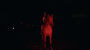 Whatever It Is GIF by Cosmica Artists + Records