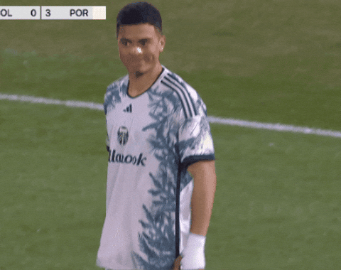 Vamos Lets Go GIF by Major League Soccer