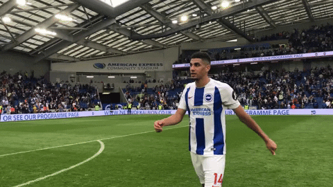 Soccer Futbol GIF by Brighton & Hove Albion Football Club