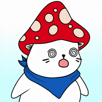 Fun Wow GIF by Sappy Seals Community
