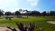 Golfing Nice Day GIF by City of Orlando