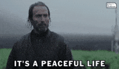 Star Wars Life GIF by Pixel Bandits