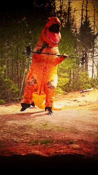 Happy Dance GIF by Detektorking