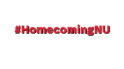 Nuexperience Sticker by Northeastern University