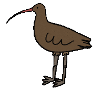 Eurasian Curlew Bird Dance Sticker