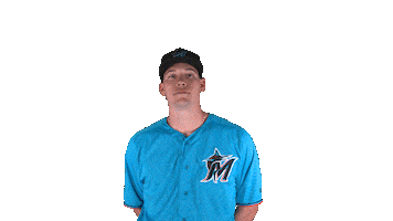 miami marlins Sticker by MLB