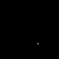 Fantastic 4 Cat GIF
