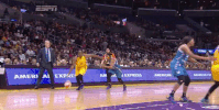 game 4 basketball GIF by WNBA
