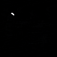 Real Estate New Listing GIF by Platinum Realty Partners