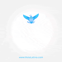 GIF by Voto Latino