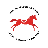 Horse Polo Sticker by Marcia Selden