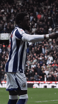 West Brom Wba GIF by West Bromwich Albion