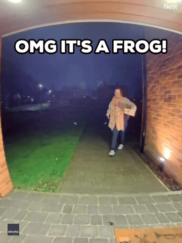 Woman Frog GIF by Storyful