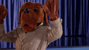 GIF by Sony Pictures Television