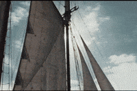 Swim Sailor GIF