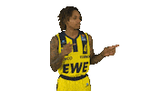 Ewe Baskets Basketball Sticker by EWE Baskets Oldenburg