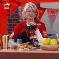 Snoop Dogg Party GIF by Puppy Bowl