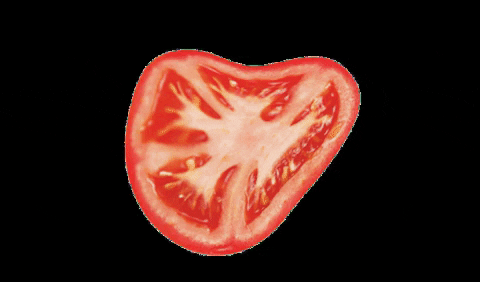 TASTE_AGENCIA giphygifmaker tomato tomate tasteagencia GIF