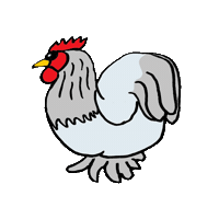 Chickens Sticker