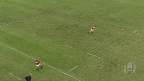 Usa Rugby Sport GIF by Rugby World Cup