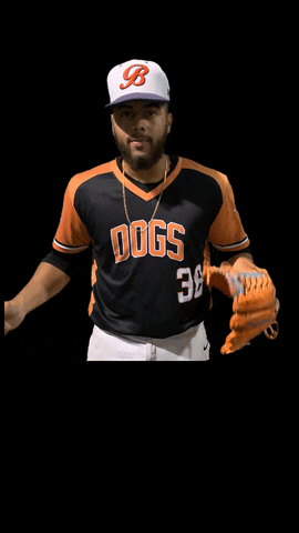 BergenBulldogs giphyupload gameday pitcher bergen baseball GIF