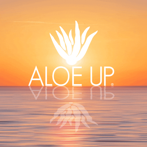 AloeUp giphyupload sunset sunscreen aloe GIF