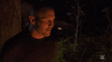Randy Orton Reaction GIF by WWE