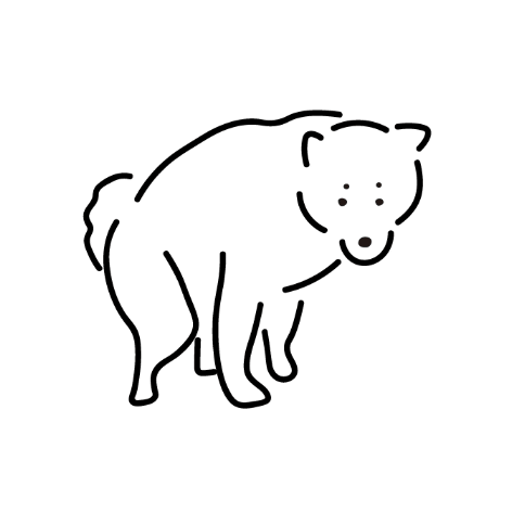 柴犬 Shibadog Sticker