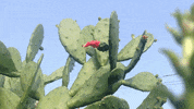 Art Film GIF by jorgemariozuleta