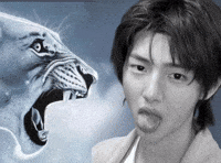 Cortis Juhoon Noonchalant GIF